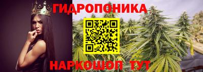 прущие грибы Бугуруслан