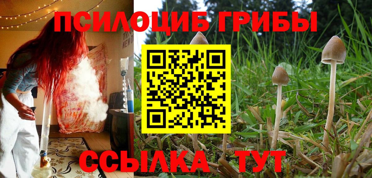 Псилоцибиновые грибы мицелий Улан-Удэ