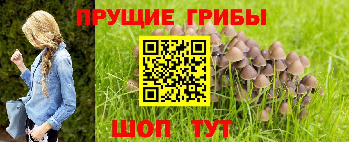 Галлюциногенные грибы ЛСД  Псилоцибиновые грибы MAGIC MUSHROOMS  Улан-Удэ  Вход с VPN 